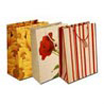 Manufacturers Exporters and Wholesale Suppliers of Paper Bags New Delhi Delhi